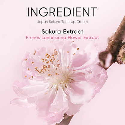 Skincare Set with LAIKOU Label, 10 Sakura Products for Cleanser Serum Cream Mask Lip and Eye Steps