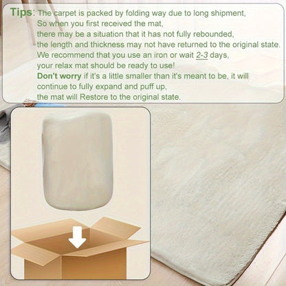 Area Rug Fluffy 900 g/m² Polyester Shag in Six Colors and Four Sizes for Bedroom or Living Room