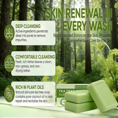Tea Tree Bar Soap, Three-Pack of Green Plant-Essence-Labeled Bars for Face and Body Washing