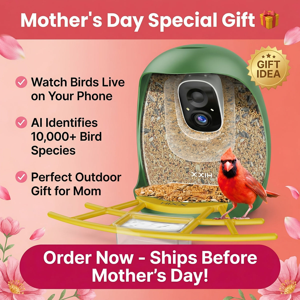 Smart Bird Feeder, Camera AI Bird Identification, 2K HD Live View, Auto Capture & Color Night Vision