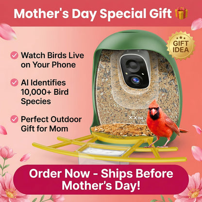 Smart Bird Feeder, Camera AI Bird Identification, 2K HD Live View, Auto Capture & Color Night Vision