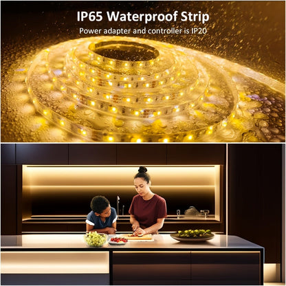 LED Strip Light 5m 2835 SMD with 600 LEDs, 12V Power, Inline Dimmer, White or Warm White and IP65 Label