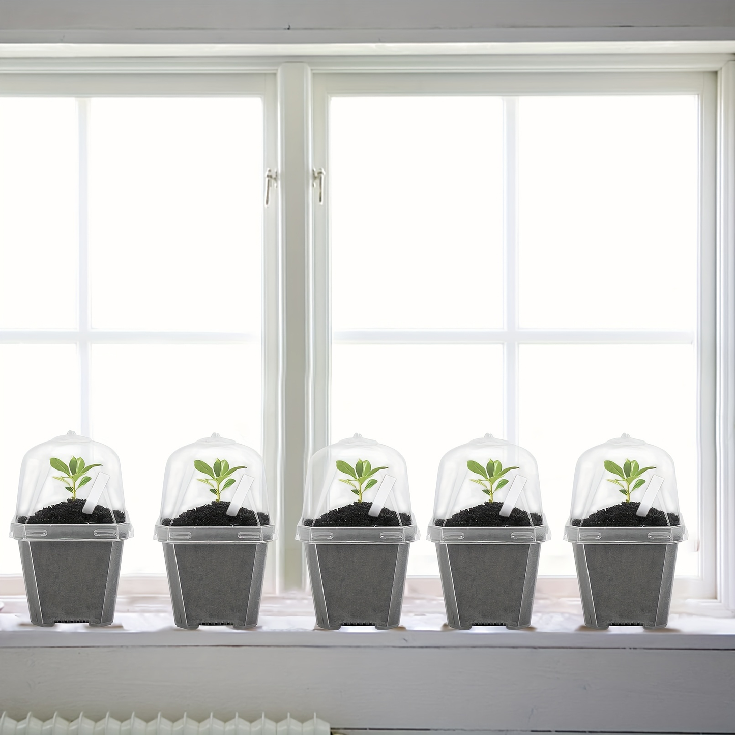 Clear Nursery Pot Set with Humidity Dome Lids, Vent Controls and Protected 30-Piece Checkout Label