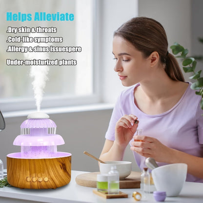 Humidifier Rain-Sound Model with Eight-Color Night Light, 10-Hour Runtime and Water-Soluble Oil Compatibility
