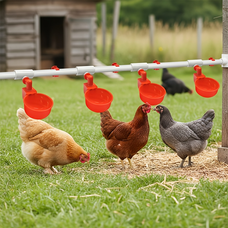 Automatic Poultry Watering System Kit with 10 Red Cups, PVC Pipe Fittings, Regulator and Hose Connections