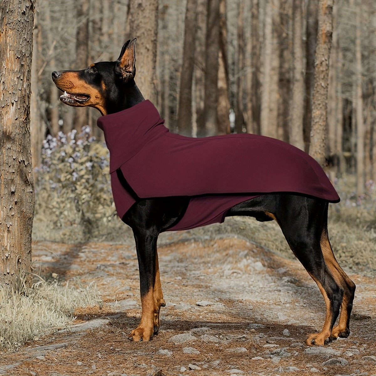 High-Neck Pullover Dog Coat in Burgundy, Navy or Fern Green with Selected XL Through 4XL Sizes
