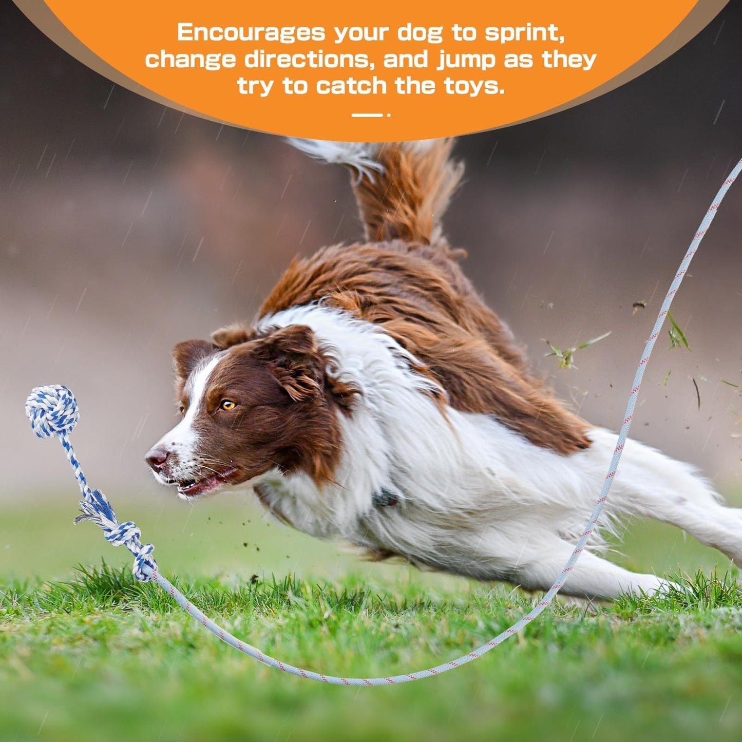 Dog Toy Telescopic Aluminum Flirt Pole with Reinforced Nylon Rope and Three Detachable Interactive Toys