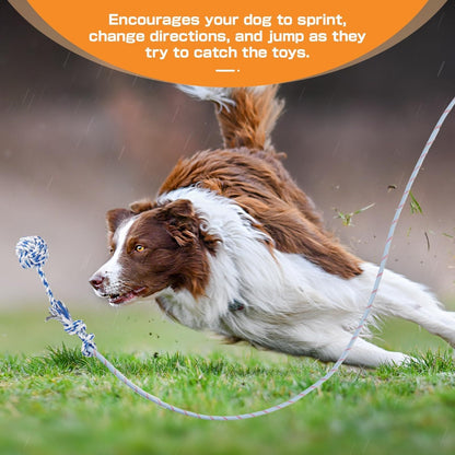 Dog Toy Telescopic Aluminum Flirt Pole with Reinforced Nylon Rope and Three Detachable Interactive Toys