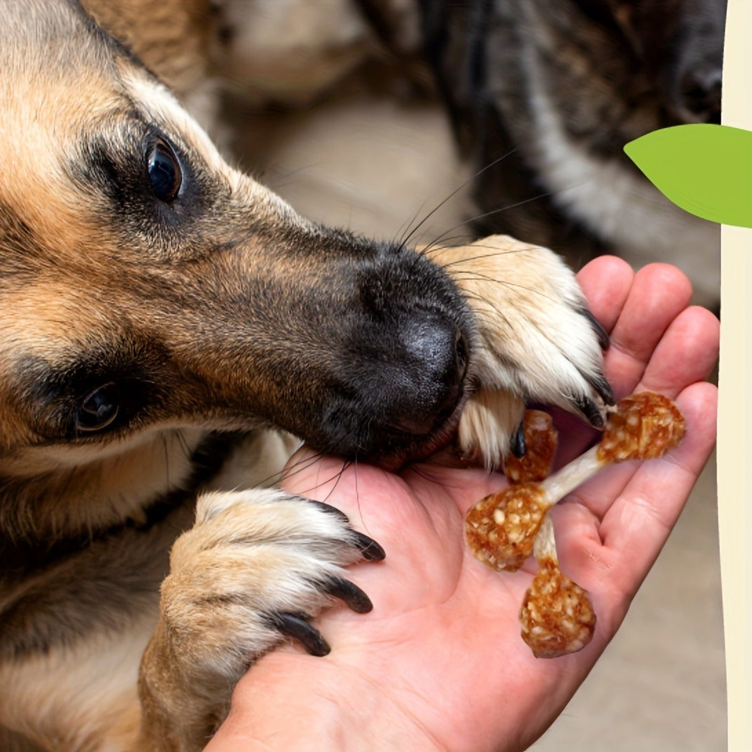 Dog Treats Chicken and Rice Dumbbell-Shaped Bites with Multipack and Two Flavor-Label Options