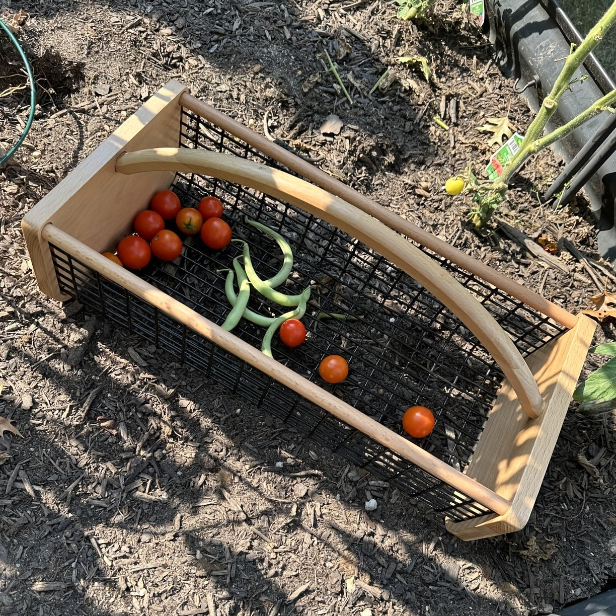 Garden Harvest Basket with Metal Mesh Body, Wooden Ends, Carry Handle and Small or Large Black Options