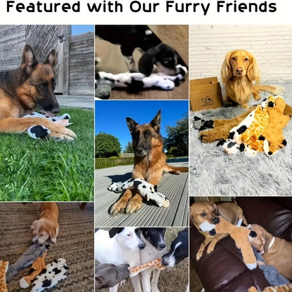 Dog Toys Squeaky Leather-Case Activity Set for Chew, Teething and Interactive Play Across Dog Sizes