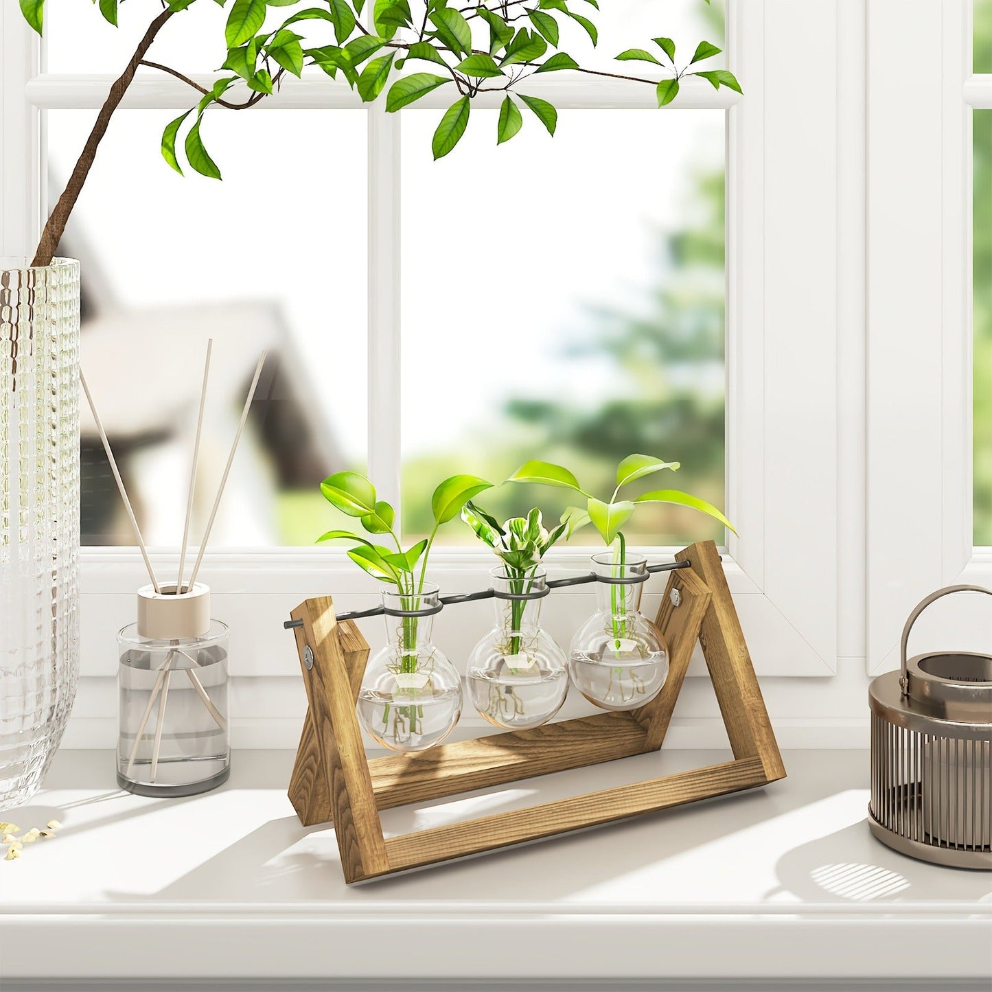 Heart-Shaped Glass Propagation Vase with Removable Bottle and 11-Inch Folding Wooden Display Stand