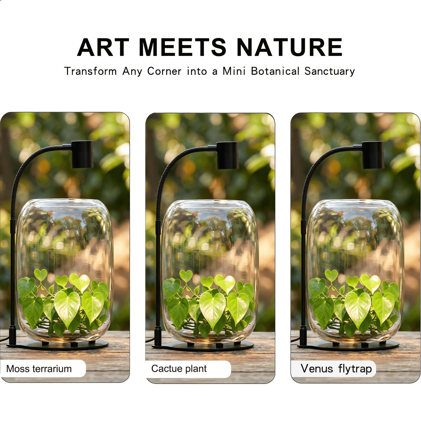 15.9 x 8.7 Inch Open-Top Glass Terrarium with USB Grow Light for Moss, Air Plants and Succulents