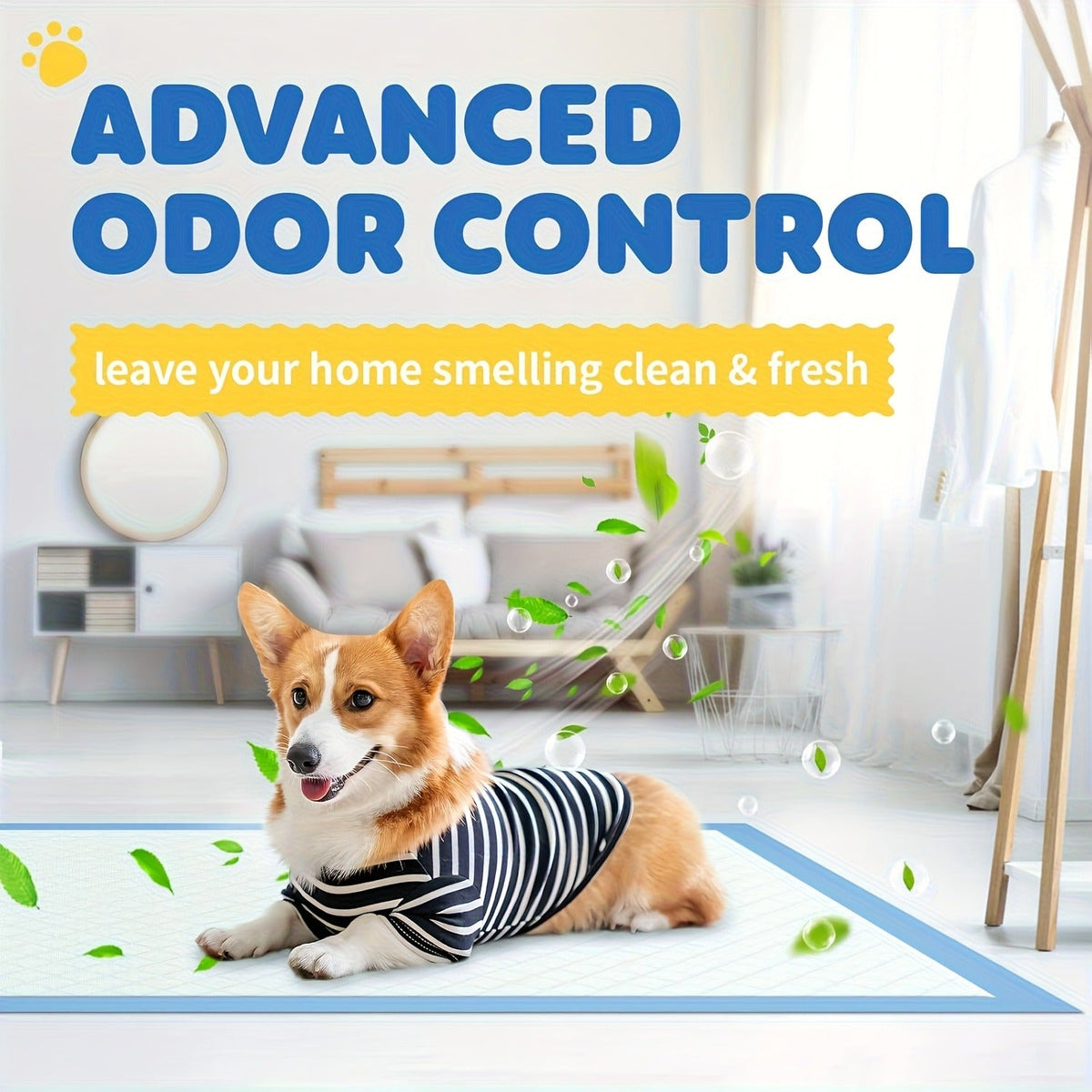 Six-Layer Disposable Pet Pads with 50, 101 or 200-Piece Pack Options and Blue-White Design