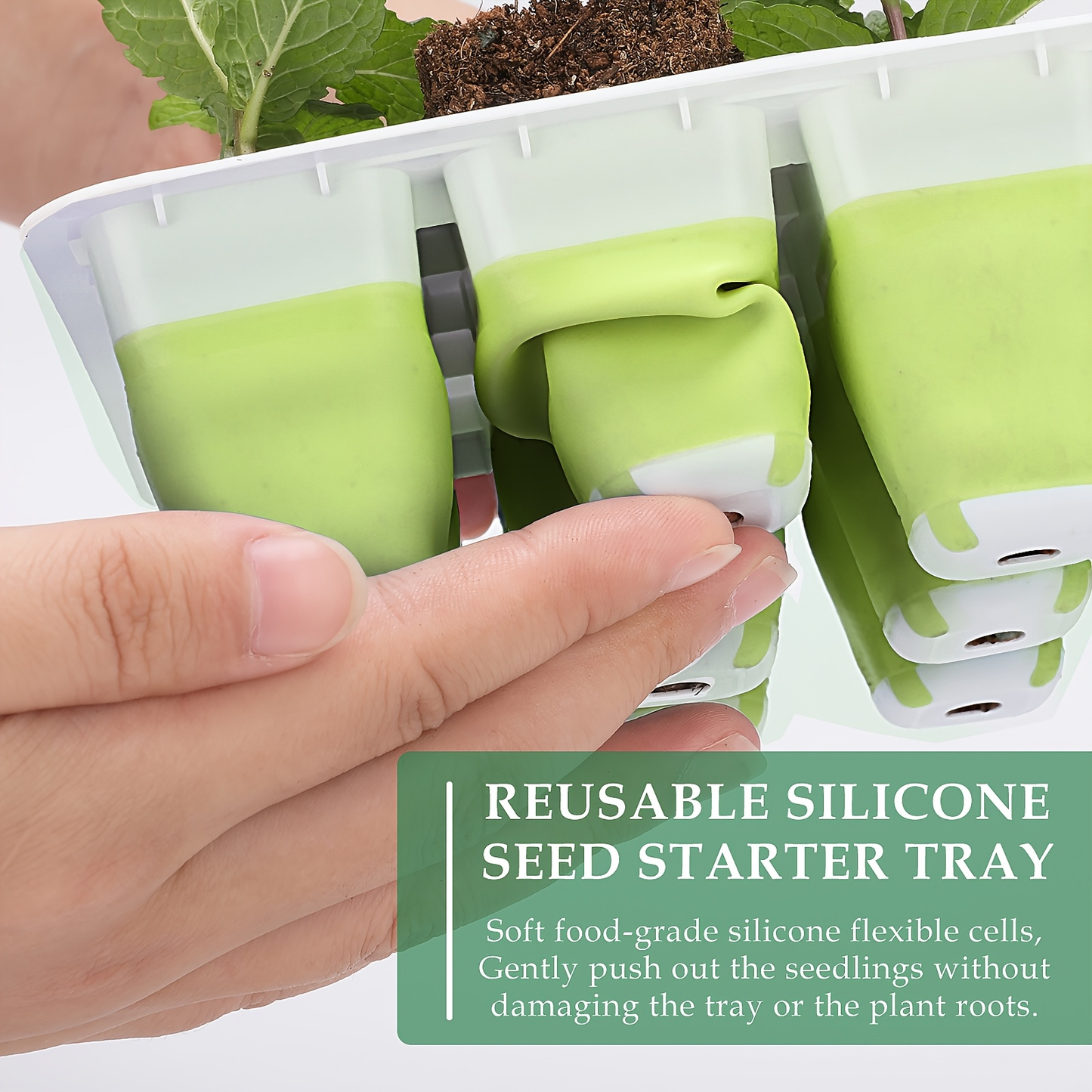 Seed Starting Tray with Flexible Pop-Up Units | Easy Transplant No Root Damage | Optimal Drainage | Reusable Seedling Tray 2pcs 6pcs 10pcs Multi-Pack