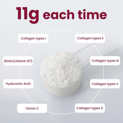 Dietary Supplement Multi-Collagen Powder with Types I, II, III, V and X, Biotin and Vitamin C, 2-Pack