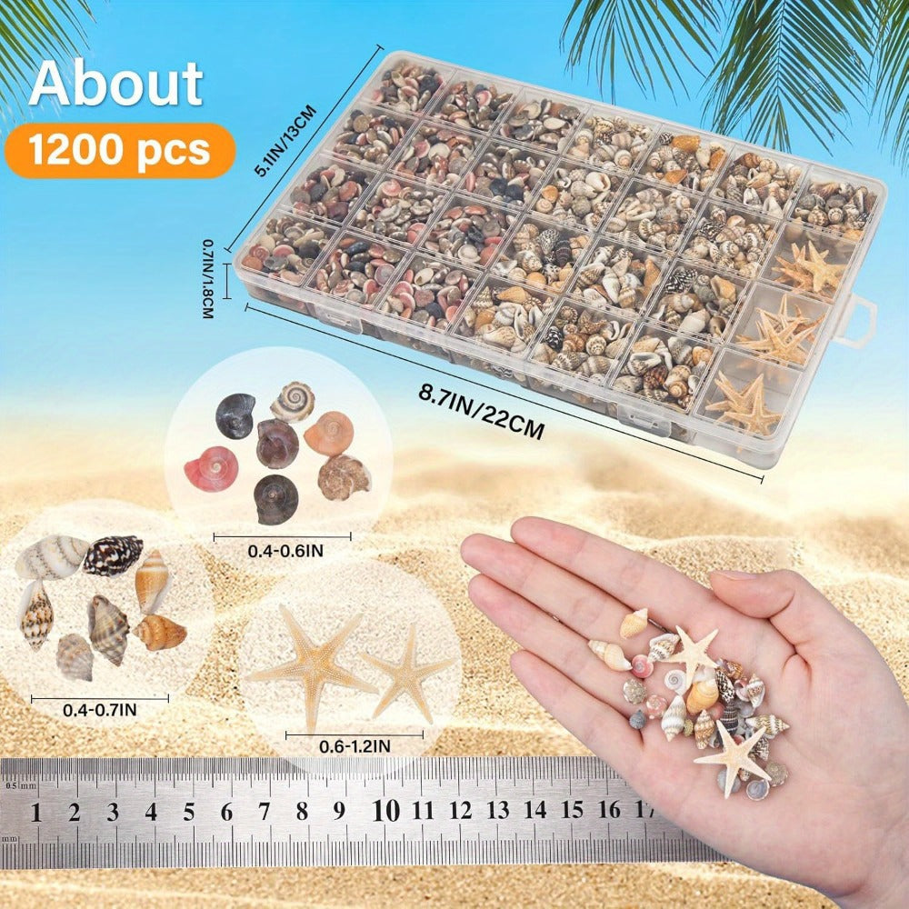 Tiny Seashells Starfish Bulk Set Beach Decor Crafts Vase Filler for Entryways, Bedrooms and Living Spaces