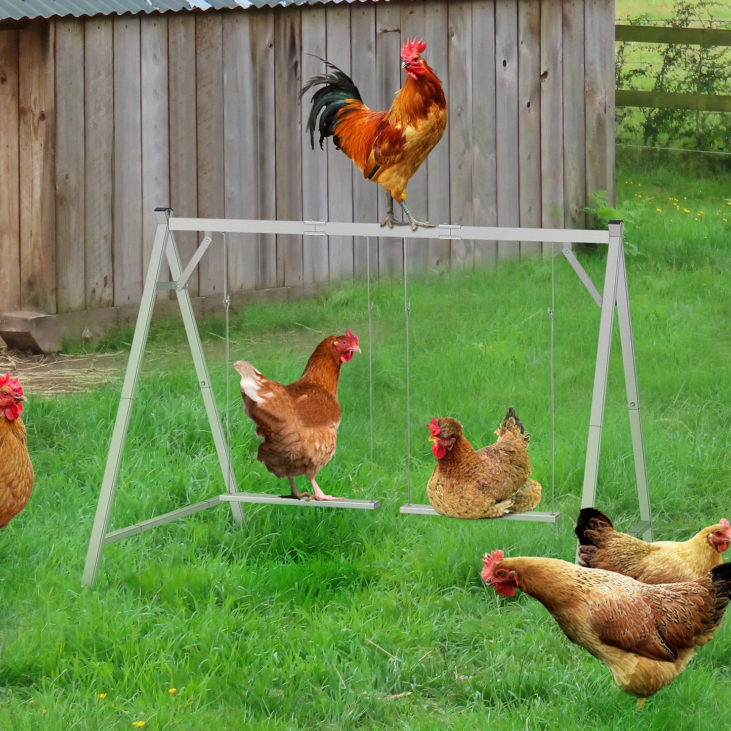 Chicken Swing Coop Toy Metal Perch for Backyard Hens Roosters Parrots Rabbits Promotes Exercise Balance Coordination Weather-Resistant Easy to Install Coop Accessory