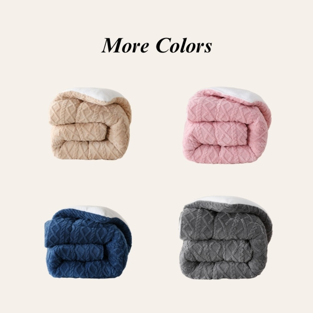 Double-Sided Plush Comforter with 400–450 GSM Pictured Weight, Four Colors and Twin XL to King Sizes