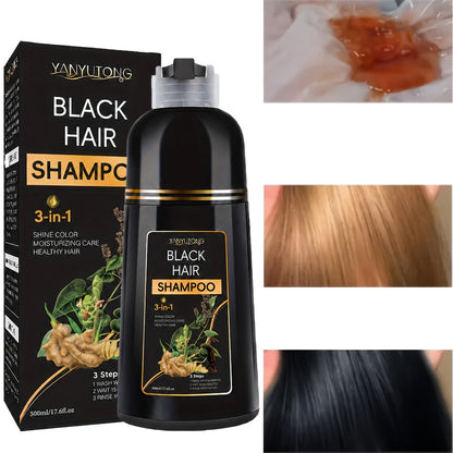 Hair Dye Shampoo, YANYUTONG 500ml Black 3-in-1 Bottle for At-Home Hair Color Application and Rinse Routine