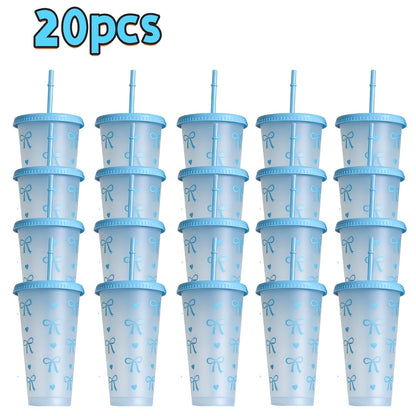 Reusable Party Cups 24 oz with Lids Straws and Dust Covers - BPA Free PP Plastic Tumblers Bulk Set 10 or 20 Pack for Parties Camping Office Gifts Pink Blue