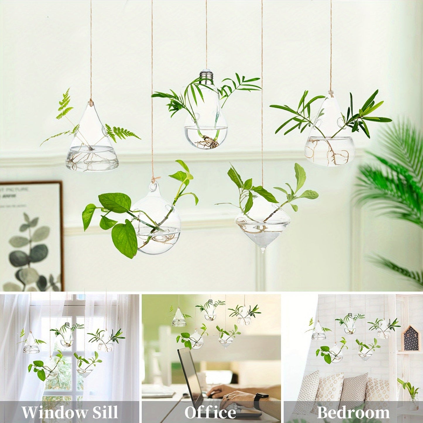 Five-Shape Clear Glass Hanging Terrarium Set with Rope Loops for Air Plants, Cuttings and Wall Display