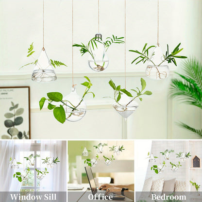 Five-Shape Clear Glass Hanging Terrarium Set with Rope Loops for Air Plants, Cuttings and Wall Display