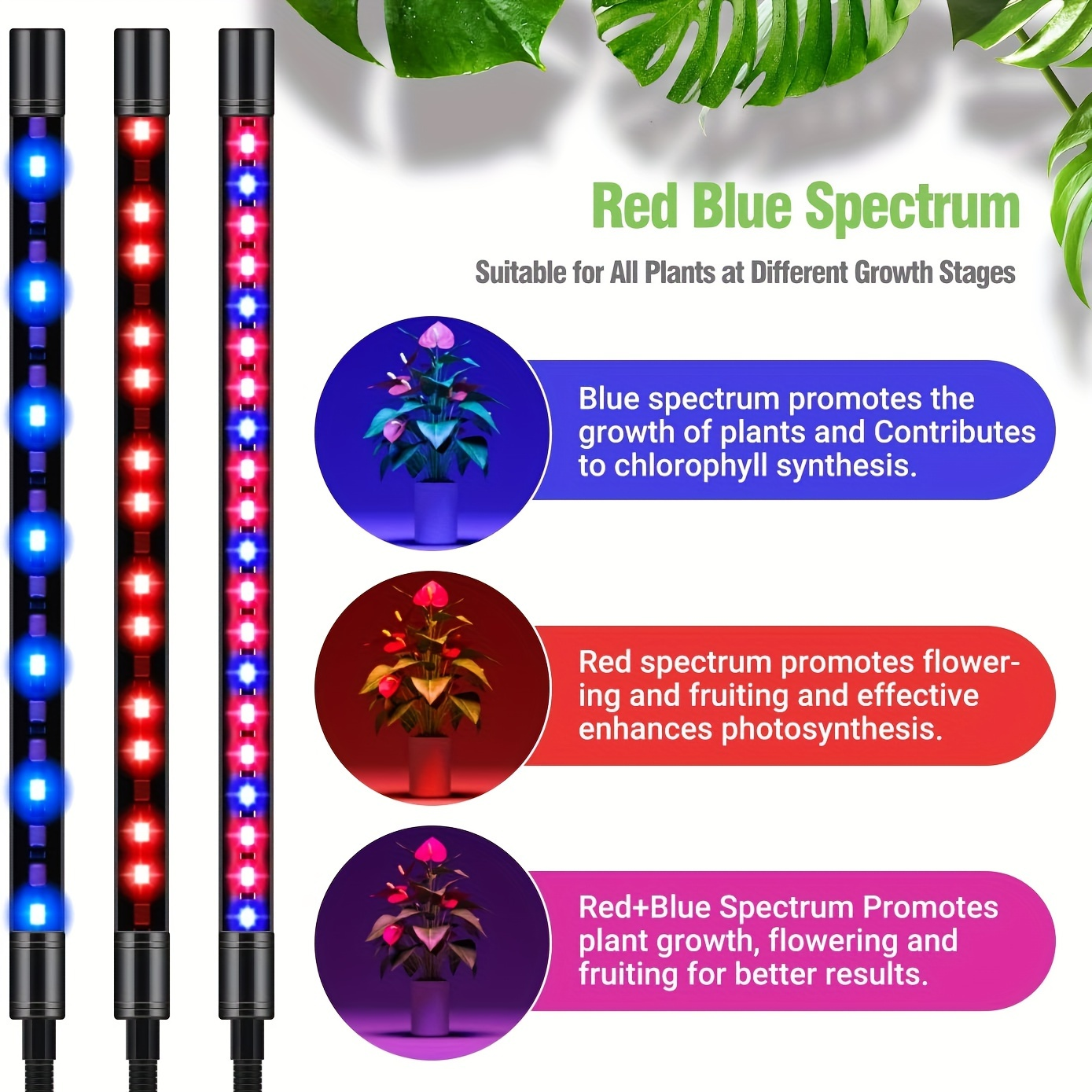 Remote Control Grow Light 4/5 Head Red Blue White Full Spectrum | 29-61'' Adjustable Tripod Stand Auto Timer | Indoor Plants Wireless Floor Lamp
