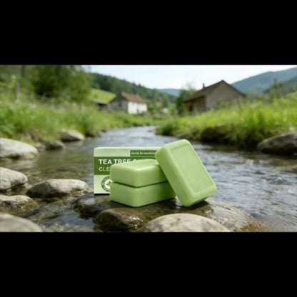 Tea Tree Bar Soap, Three-Pack of Green Plant-Essence-Labeled Bars for Face and Body Washing