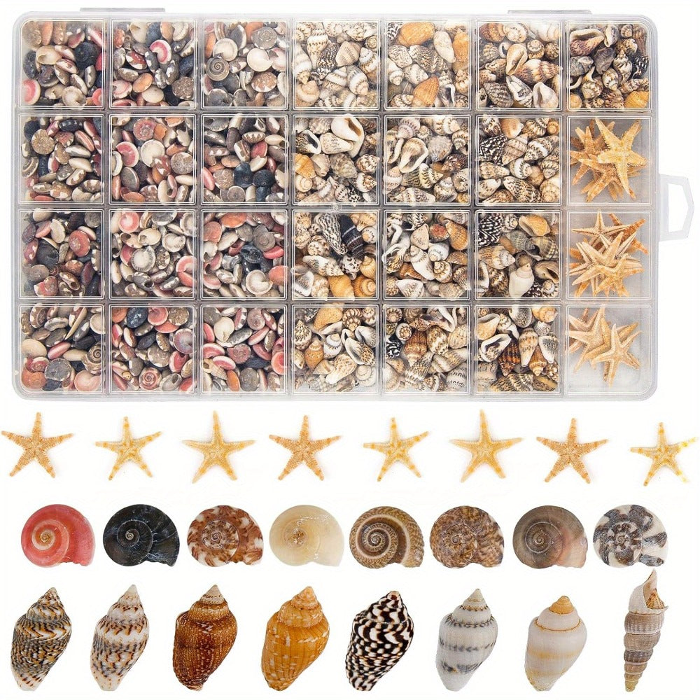 Tiny Seashells Starfish Bulk Set Beach Decor Crafts Vase Filler for Entryways, Bedrooms and Living Spaces