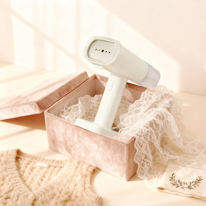 1100W Handheld Garment Steamer with 300ml Tank, Cleaning Brush and Four Color or Model Labels