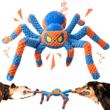 blue spider