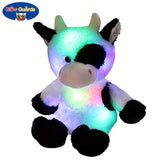Glowing Cow