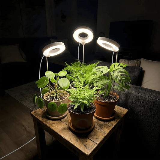 Full Spectrum LED Grow Lights for Indoor Plants – 3-Pack with Auto Timer 3/6/9H, 4 Dimmable Levels & Adjustable Height | Desk Lamp for Seedlings, Herbs, Succulents & Houseplants
