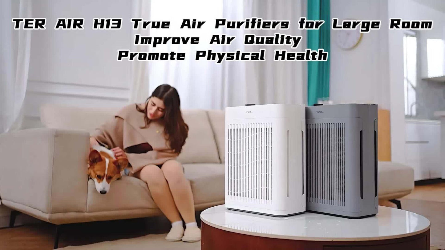 Air Purifier with H13 HEPA Filter, 2500 Sq Ft Coverage, PM2.5 Sensor, 22dB Mode and Two Colors