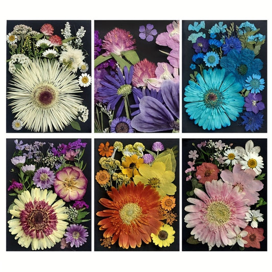 Dried Pressed Flowers for Resin 60pcs Real Pressed Flowers Dry Leaves Bulk Natural Herbs Kit for Scrapbooking DIY Art Crafts, Epoxy Resin Jewelry Molds, Candle Soap Making Nail Decor
