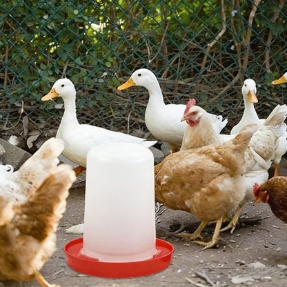 Chicken Feeder and Waterer Set | 18-Hole Anti-Spoil Trough Feeder + Automatic Water Dispenser for Chicks, Brooder & Backyard Poultry – 2-Piece Multi-Hole Bird Feeder Kit