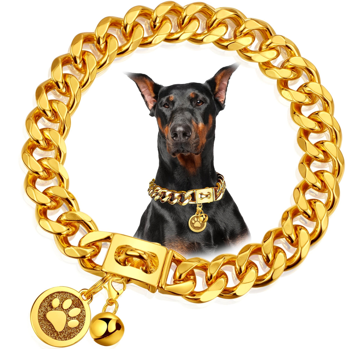 Collars, Leashes & Harnesses