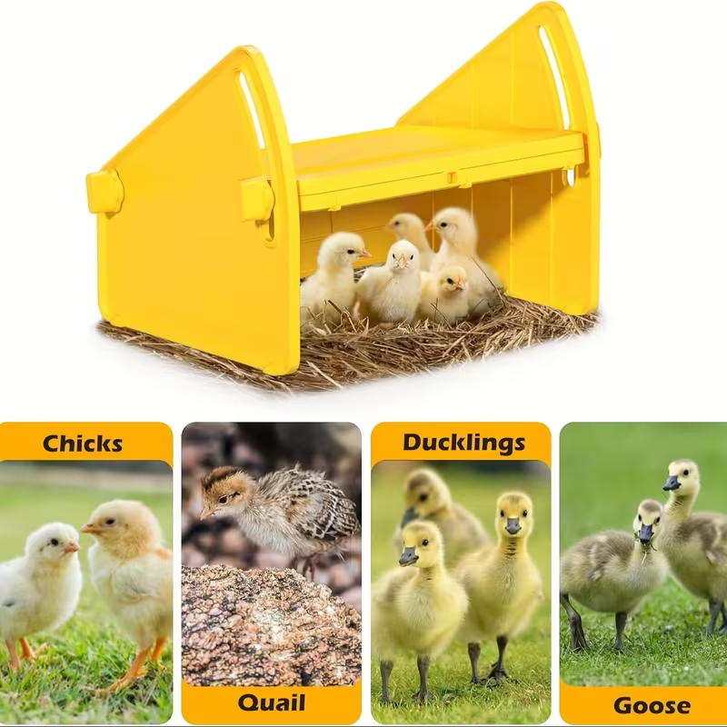 Chick Brooder Plate with Adjustable Height for Up to 10 Chicks | Poultry Warmer for Ducklings, Turkeys, Goslings & Quail – Low-Voltage 120V, Durable Plastic, Orange or Yellow