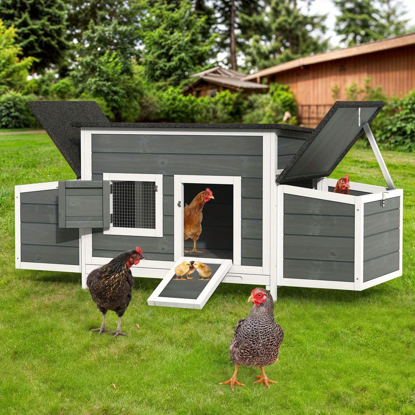 Wooden Hen House with 67in Frame, Two Nest Boxes, Ramp and Gray or Brown Two-Tone Outdoor Finish