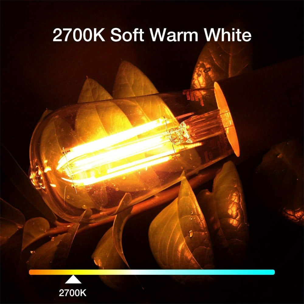 Vintage Edison LED Filament Bulbs, 8 W and 800 Lumens with Dimmable E26 Base and 2700 K Warm White, 12 Pack