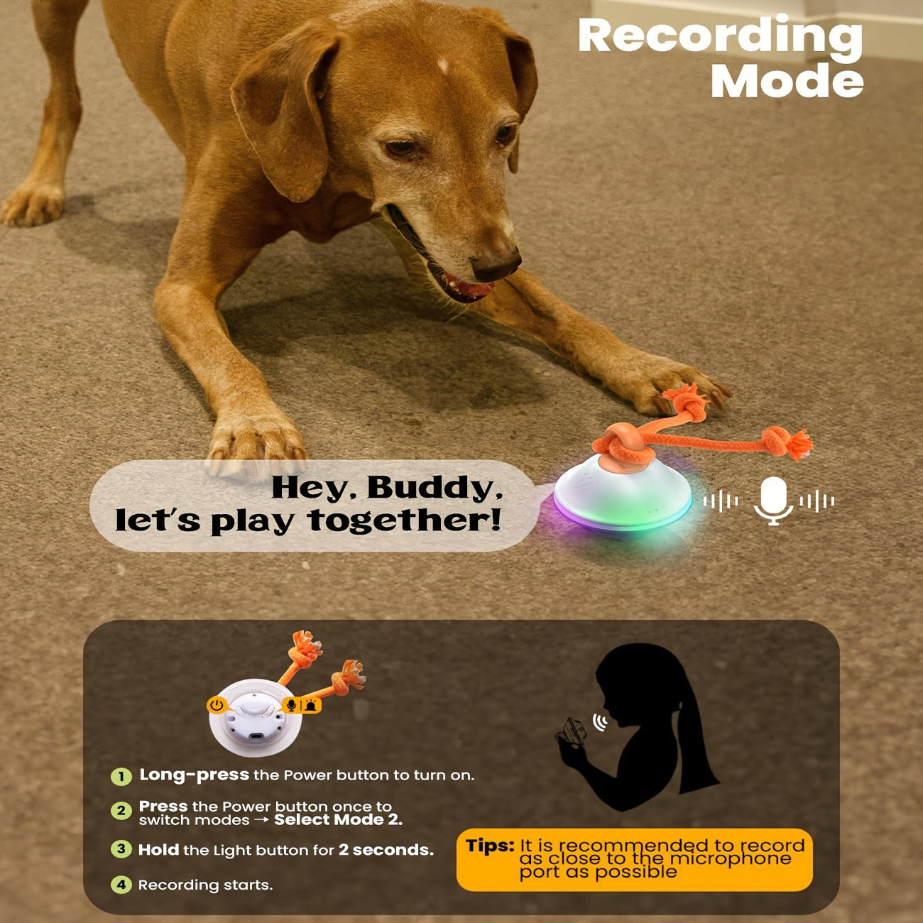 Dog Toy Motion-Activated Auto-Rolling Ball with Voice Recording, Rope and White or Gray Options