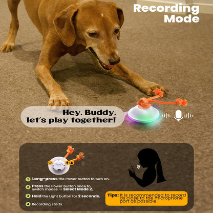 Dog Toy Motion-Activated Auto-Rolling Ball with Voice Recording, Rope and White or Gray Options
