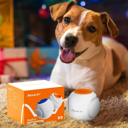 Dog Toy 2.5-Inch Motion-Activated LED Ball with USB-Rechargeable Battery for Night Fetch and Chase