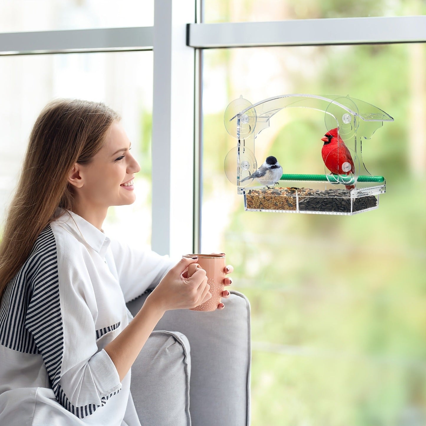 Window Bird Feeder - Clear Acrylic Suction Cup Bird Feeder for Birdwatching