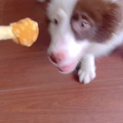 Dog Treats Chicken and Rice Dumbbell-Shaped Bites with Multipack and Two Flavor-Label Options