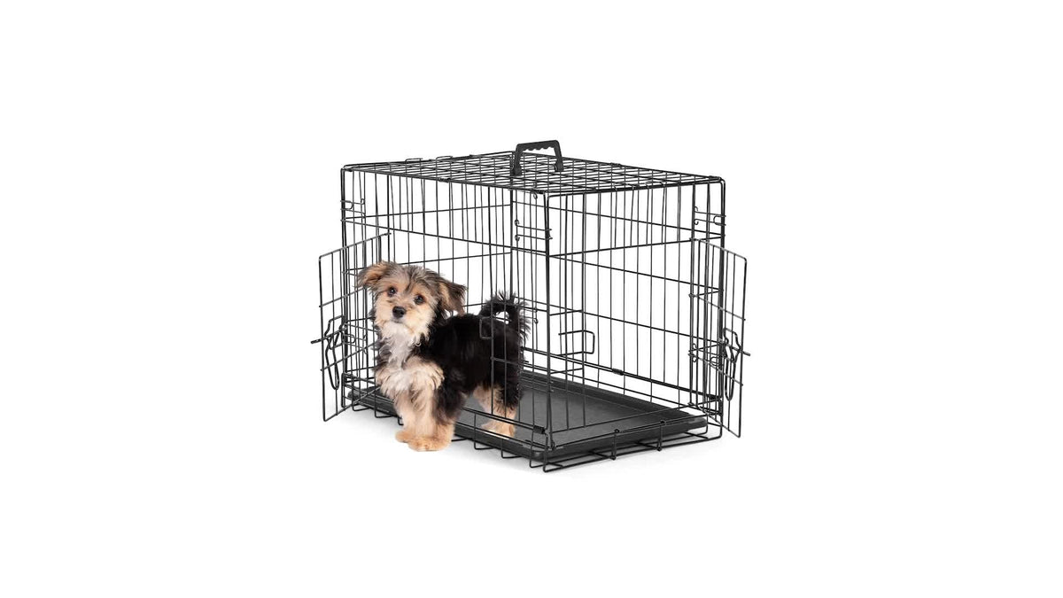 Folding Wire Dog Crate in 24, 30 or 36 Inches with Divider, Removable Tray and Door Options
