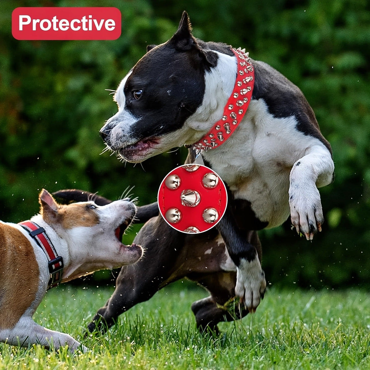 Rivet-Studded Dog Collar and Matching Leash Set with Metal Buckle, Five Colors and XS–XXL Sizing
