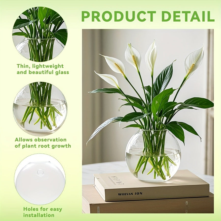 Wall-Hanging Oblate Glass Planter Set in Two-, Four- or Six-Piece Options for Small Plant Displays