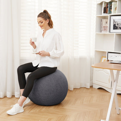 Fitness Equipment 65cm Exercise Ball Chair with Fabric Cover, Carry Handle, Pump and Two Color Options